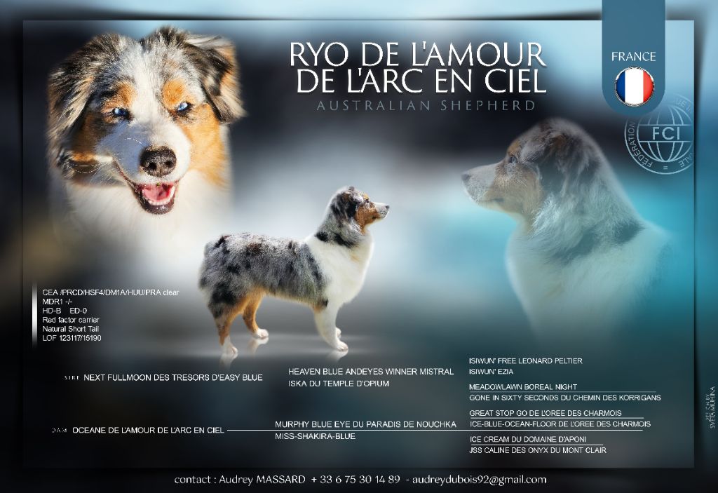 Ryo de l'Amour de l'Arc en Ciel